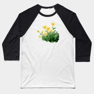 September 3rd birthday flower Baseball T-Shirt